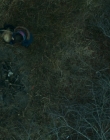 Filename=Lost_Girls_mp47571.jpg
Filesize=1030KiB
Dimensions=1920x960
Date added=Mar 14, 2020 Lost_Girls_mp47571.jpg