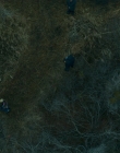 Filename=Lost_Girls_mp47589.jpg
Filesize=1144KiB
Dimensions=1920x960
Date added=Mar 14, 2020 Lost_Girls_mp47589.jpg