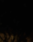 Filename=Old_mp44536.jpg
Filesize=294KiB
Dimensions=1920x804
Date added=Oct 06, 2021 Old_mp44536.jpg