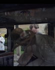 Life_After_Life_S01E03_mkv6778.jpg