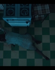 Filename=Life_After_Life_S01E03_mkv7665.jpg
Filesize=729KiB
Dimensions=1920x1080
Date added=Apr 30, 2022 Life_After_Life_S01E03_mkv7665.jpg
