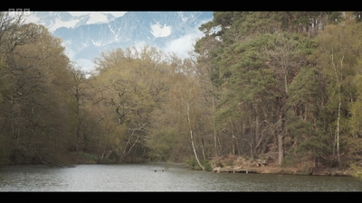 Life_After_Life_S01E04_mkv11330.jpg