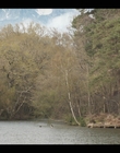 Filename=Life_After_Life_S01E04_mkv11328.jpg
Filesize=1182KiB
Dimensions=1920x1080
Date added=Apr 30, 2022 Life_After_Life_S01E04_mkv11328.jpg