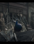 Filename=Life_After_Life_S01E04_mkv11698.jpg
Filesize=835KiB
Dimensions=1920x1080
Date added=Apr 30, 2022 Life_After_Life_S01E04_mkv11698.jpg