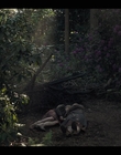 Filename=Life_After_Life_S01E04_mkv11971.jpg
Filesize=1008KiB
Dimensions=1920x1080
Date added=Apr 30, 2022 Life_After_Life_S01E04_mkv11971.jpg