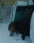 Filename=Eileen_mkv2504.jpg
Filesize=789KiB
Dimensions=1896x1080
Date added=Jan 27, 2024 Eileen_mkv2504.jpg