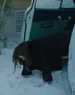 Filename=Eileen_mkv2505.jpg
Filesize=800KiB
Dimensions=1896x1080
Date added=Jan 27, 2024 Eileen_mkv2505.jpg