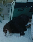 Filename=Eileen_mkv2507.jpg
Filesize=803KiB
Dimensions=1896x1080
Date added=Jan 27, 2024 Eileen_mkv2507.jpg