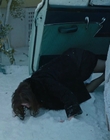 Filename=Eileen_mkv2508.jpg
Filesize=790KiB
Dimensions=1896x1080
Date added=Jan 27, 2024 Eileen_mkv2508.jpg