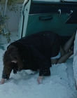 Filename=Eileen_mkv2510.jpg
Filesize=788KiB
Dimensions=1896x1080
Date added=Jan 27, 2024 Eileen_mkv2510.jpg
