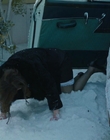 Filename=Eileen_mkv2511.jpg
Filesize=795KiB
Dimensions=1896x1080
Date added=Jan 27, 2024 Eileen_mkv2511.jpg