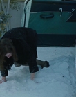 Filename=Eileen_mkv2512.jpg
Filesize=769KiB
Dimensions=1896x1080
Date added=Jan 27, 2024 Eileen_mkv2512.jpg
