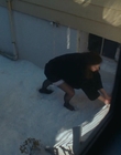 Filename=Eileen_mkv2551.jpg
Filesize=482KiB
Dimensions=1896x1080
Date added=Jan 27, 2024 Eileen_mkv2551.jpg