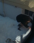 Filename=Eileen_mkv2552.jpg
Filesize=589KiB
Dimensions=1896x1080
Date added=Jan 27, 2024 Eileen_mkv2552.jpg