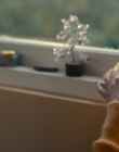 Filename=Totally_Completely_Fine_S01E01_mkv1113.jpg
Filesize=925KiB
Dimensions=1920x1080
Date added=May 10, 2023 Totally_Completely_Fine_S01E01_mkv1113.jpg