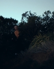 Filename=Totally_Completely_Fine_S01E01_mkv1159.jpg
Filesize=960KiB
Dimensions=1920x1080
Date added=May 10, 2023 Totally_Completely_Fine_S01E01_mkv1159.jpg