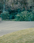 Filename=Totally_Completely_Fine_S01E01_mkv2850.jpg
Filesize=1457KiB
Dimensions=1920x1080
Date added=May 10, 2023 Totally_Completely_Fine_S01E01_mkv2850.jpg