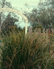 Filename=Totally_Completely_Fine_S01E02_mkv3009.jpg
Filesize=1561KiB
Dimensions=1920x1080
Date added=May 10, 2023 Totally_Completely_Fine_S01E02_mkv3009.jpg