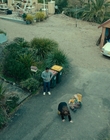 Filename=Totally_Completely_Fine_S01E02_mkv3266.jpg
Filesize=1760KiB
Dimensions=1920x1080
Date added=May 10, 2023 Totally_Completely_Fine_S01E02_mkv3266.jpg