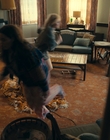 Filename=Totally_Completely_Fine_S01E03_mkv0371.jpg
Filesize=1119KiB
Dimensions=1920x1080
Date added=May 10, 2023 Totally_Completely_Fine_S01E03_mkv0371.jpg