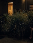 Filename=Totally_Completely_Fine_S01E03_mkv2353.jpg
Filesize=1147KiB
Dimensions=1920x1080
Date added=May 10, 2023 Totally_Completely_Fine_S01E03_mkv2353.jpg