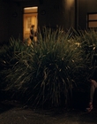 Filename=Totally_Completely_Fine_S01E03_mkv2358.jpg
Filesize=1211KiB
Dimensions=1920x1080
Date added=May 10, 2023 Totally_Completely_Fine_S01E03_mkv2358.jpg