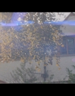 Filename=2024_-_Joy_mkv0256.jpg
Filesize=695KiB
Dimensions=1920x1080
Date added=Dec 21, 2024 2024_-_Joy_mkv0256.jpg